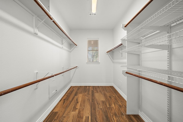 walk in closet featuring dark wood-type flooring