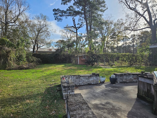 view of yard with a shed and a patio area