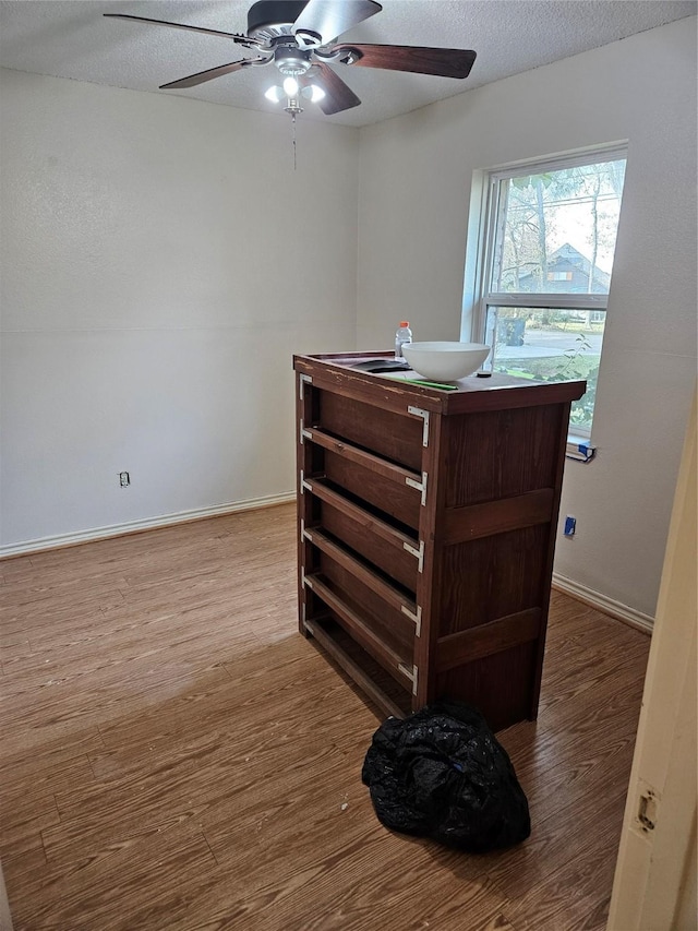 interior space featuring ceiling fan and wood-type flooring