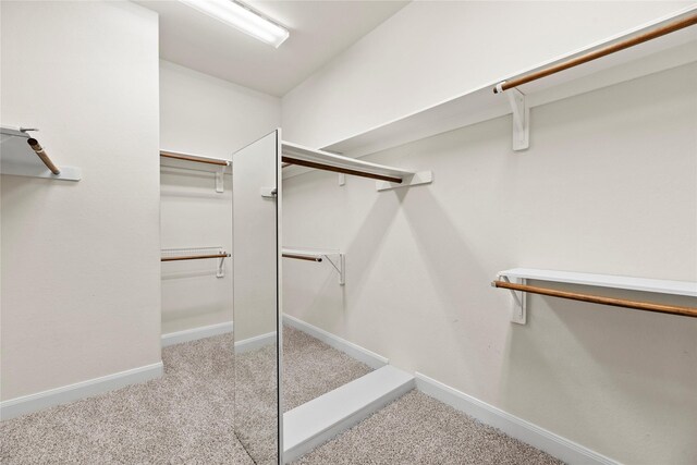 walk in closet with light colored carpet