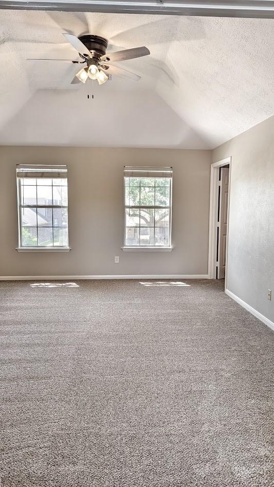 spare room with carpet flooring, ceiling fan, and a textured ceiling