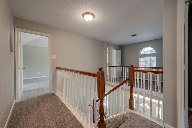 hall with carpet flooring and a textured ceiling