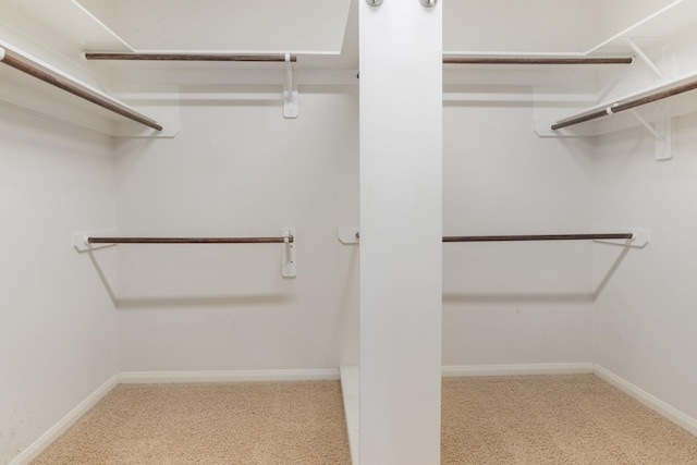 spacious closet featuring light colored carpet