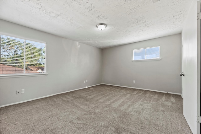 unfurnished room featuring carpet floors and a textured ceiling