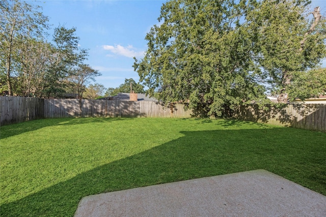 view of yard featuring a patio