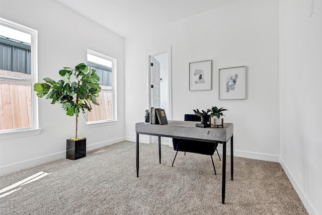 office with light carpet and a wealth of natural light