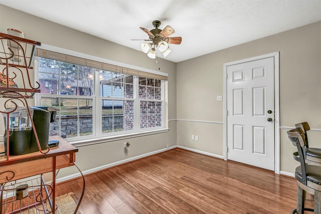 office featuring ceiling fan and wood-type flooring