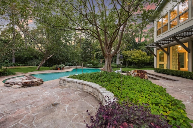 view of swimming pool with a patio