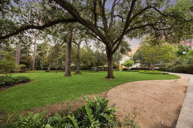 view of property's community featuring a yard