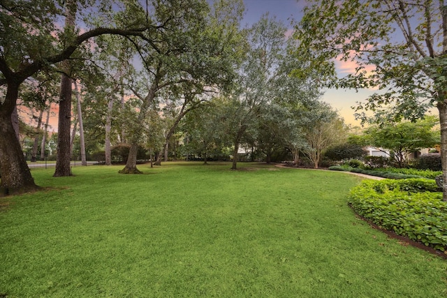 view of yard at dusk