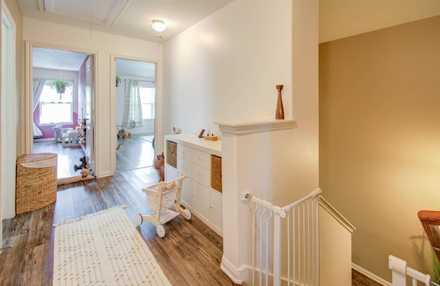 hall featuring dark hardwood / wood-style flooring