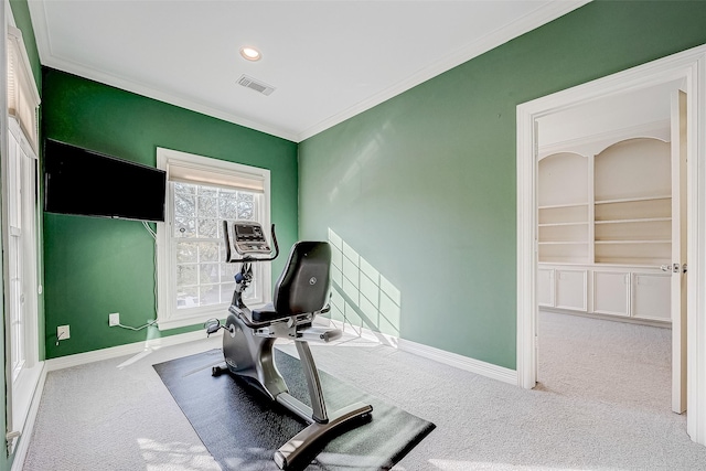 workout area with carpet and crown molding