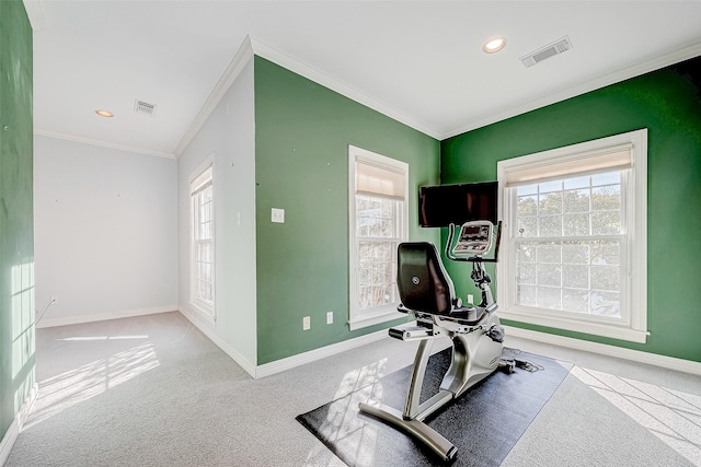 workout area with light colored carpet and crown molding