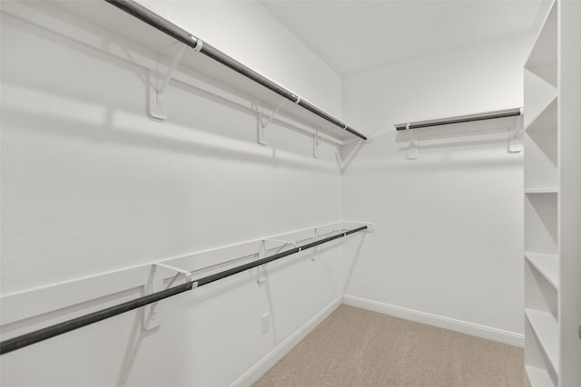 walk in closet featuring light colored carpet