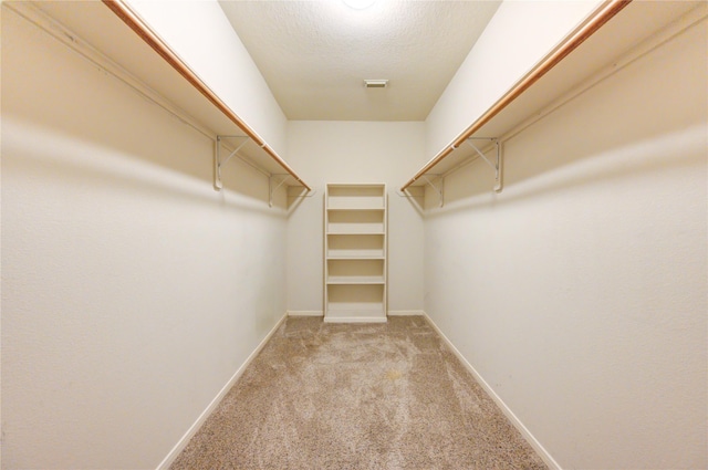 spacious closet with carpet