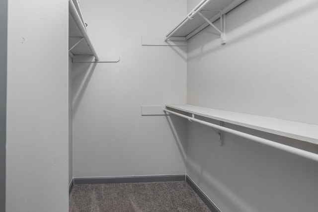 spacious closet featuring dark carpet