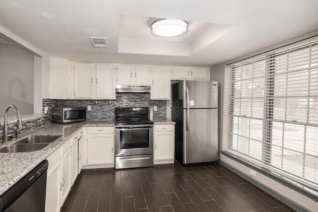 kitchen featuring white cabinets, a raised ceiling, sink, tasteful backsplash, and stainless steel appliances