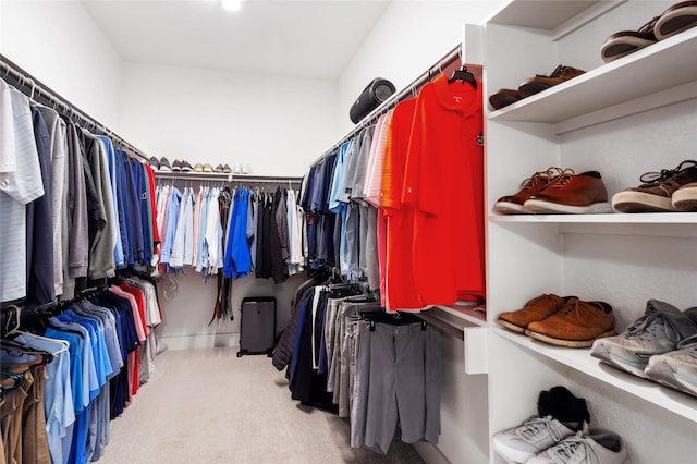 spacious closet with light carpet