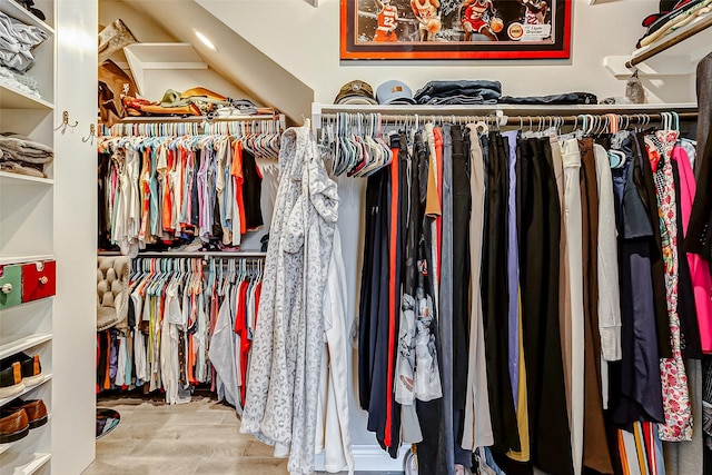 spacious closet with hardwood / wood-style flooring