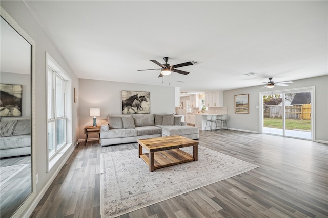 living room featuring ceiling fan and wood-type flooring