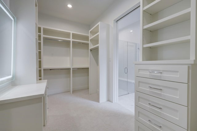 spacious closet with light carpet