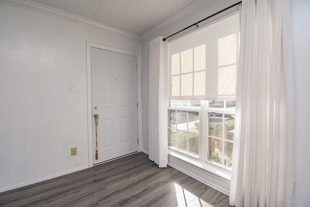 interior space with dark hardwood / wood-style flooring and ornamental molding