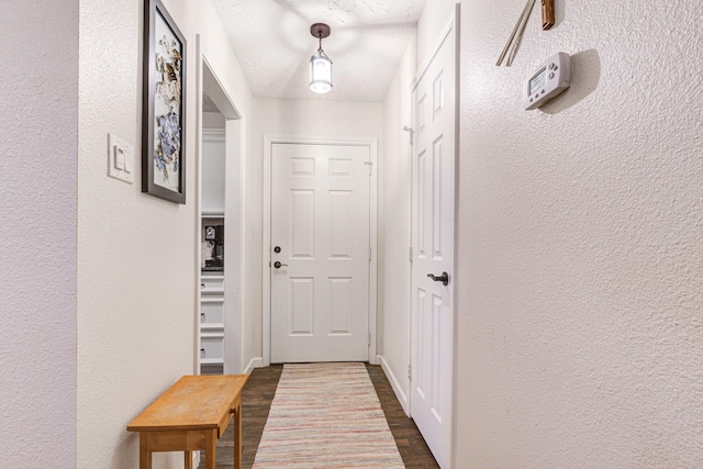 doorway to outside featuring dark hardwood / wood-style flooring