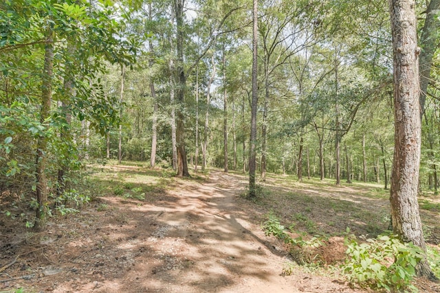 view of local wilderness