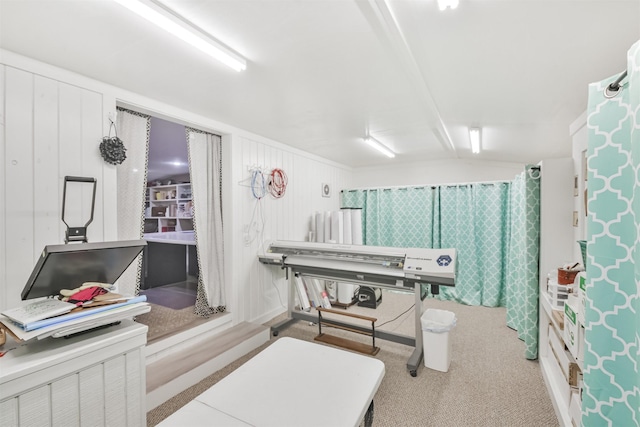 bathroom with wooden walls