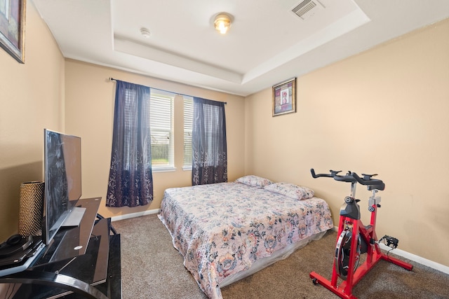 carpeted bedroom featuring a raised ceiling