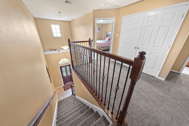 stairway featuring carpet flooring