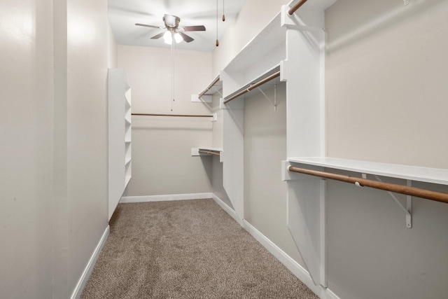 walk in closet with ceiling fan and carpet floors