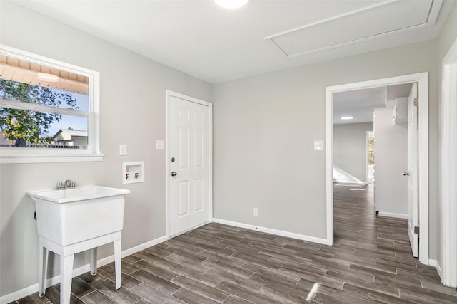 washroom featuring dark hardwood / wood-style flooring and hookup for a washing machine