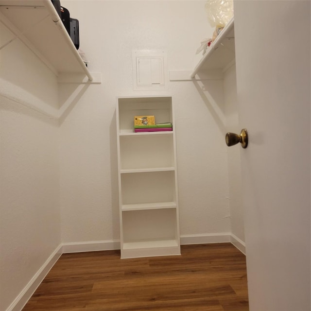 walk in closet with dark hardwood / wood-style flooring