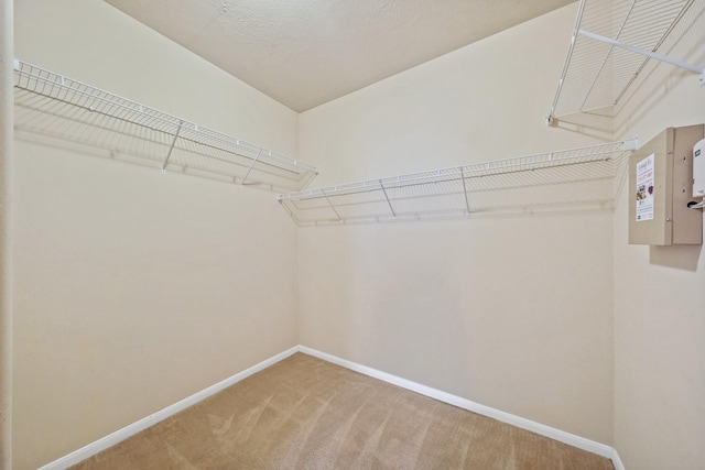 spacious closet with carpet floors