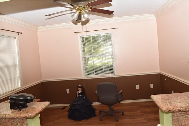 unfurnished office with dark hardwood / wood-style flooring, ceiling fan, and crown molding