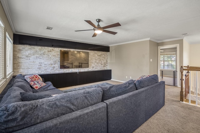 living room with carpet, ceiling fan, ornamental molding, and a textured ceiling