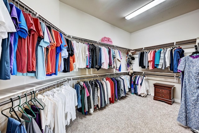 spacious closet featuring light carpet