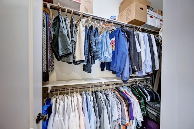 view of spacious closet