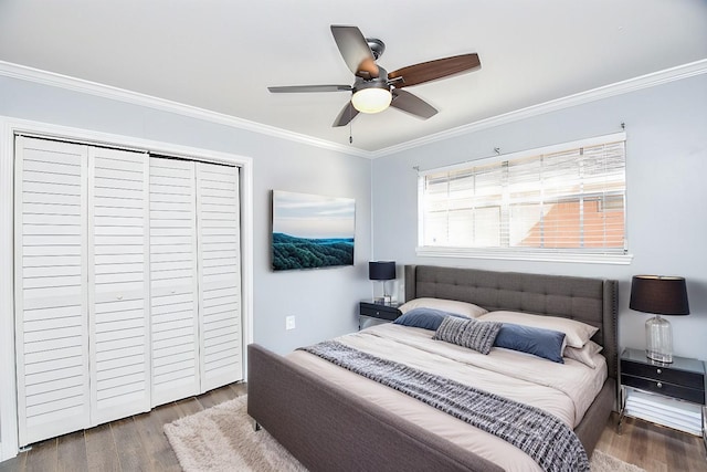 bedroom featuring ceiling fan, a closet, wood-type flooring, and ornamental molding