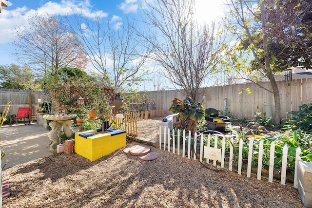 view of yard featuring a patio