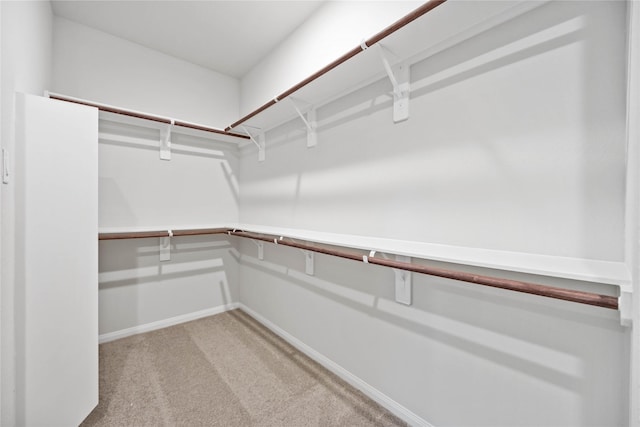 spacious closet with light colored carpet