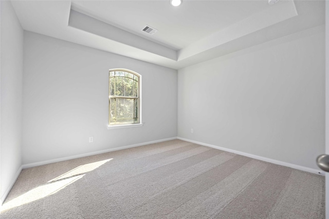 unfurnished room with carpet flooring and a raised ceiling