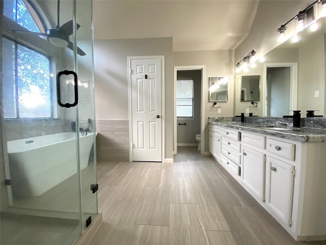 full bathroom featuring vanity, toilet, and independent shower and bath