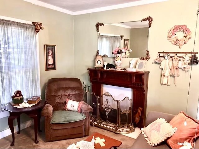 living area with crown molding