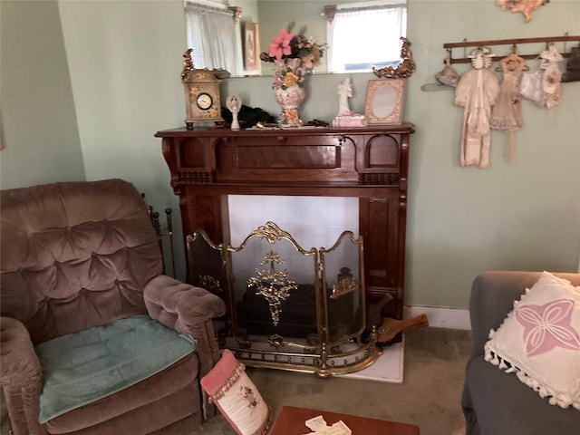 living area with carpet flooring