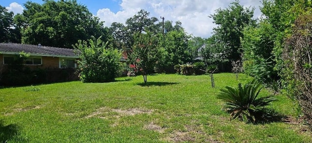 Listing photo 3 for 2016 Southgate Dr Blvd, Houston TX 77030