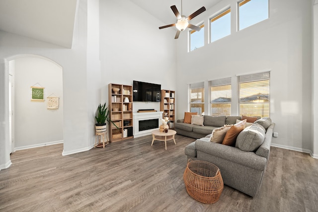 living room with hardwood / wood-style flooring and a high ceiling