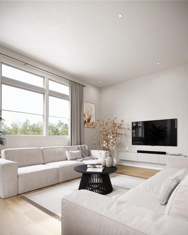 living room featuring light hardwood / wood-style flooring