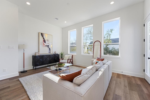 living room with hardwood / wood-style floors